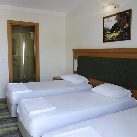 Hotel Forest Park 3*